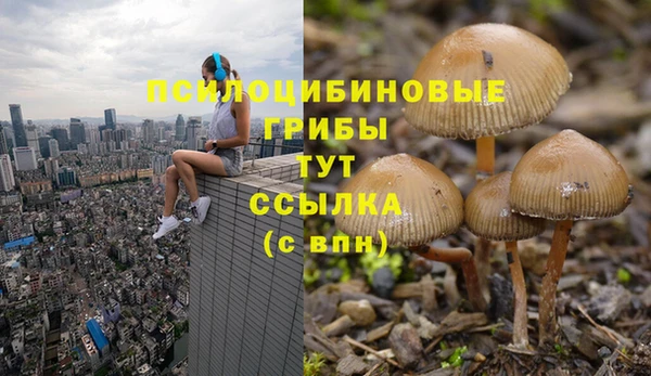 мяу мяу мука Аркадак