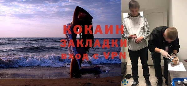 мяу мяу мука Аркадак