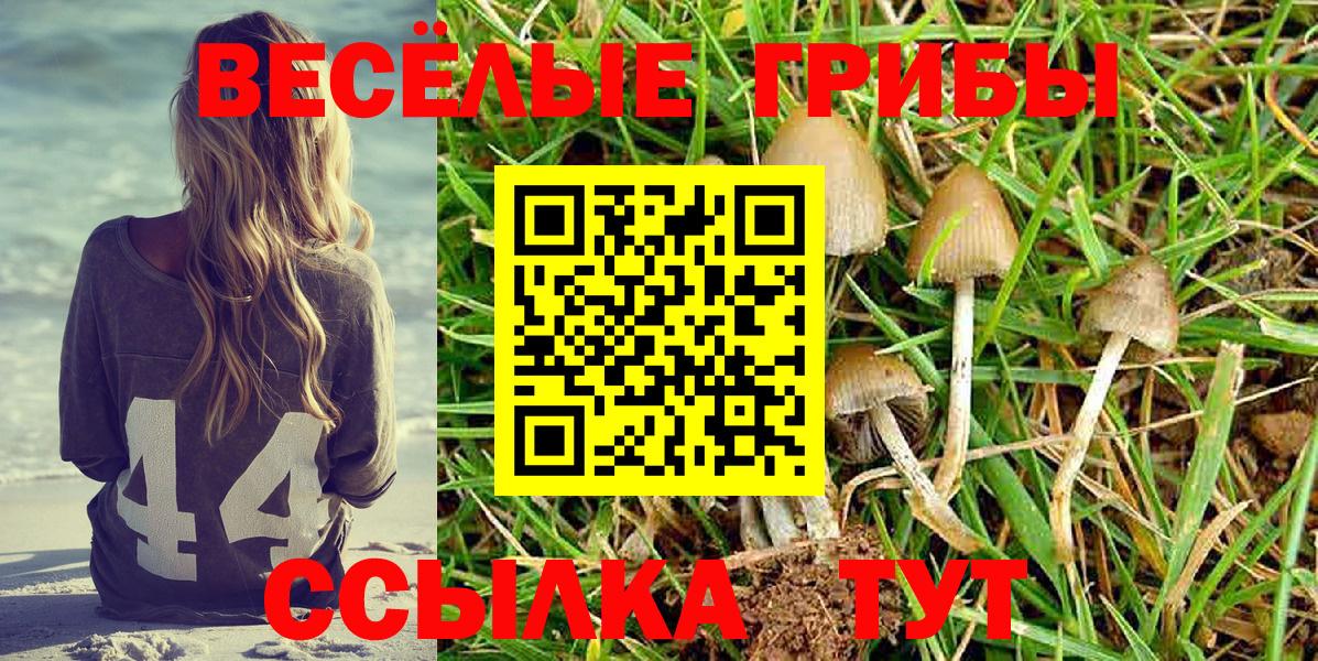 Галлюциногенные грибы ЛСД Спасск-Дальний